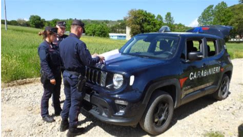 I Carabinieri Forestale Di Amelia Sequestrano Kg Di Funghi Messi In