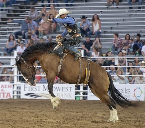 Canadian Cowboys Association rodeo coming to Brandon this weekend ...