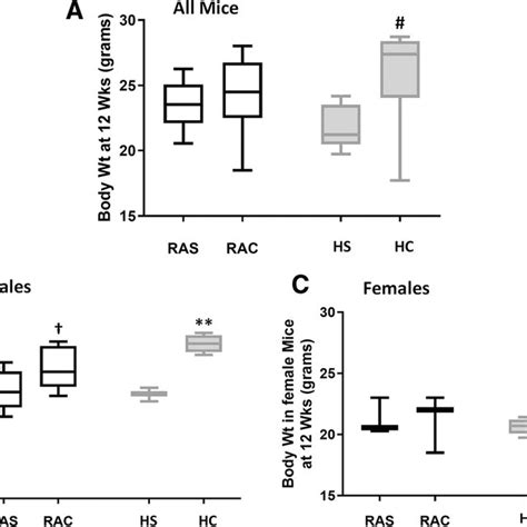 Body Weights Grams In Adult Mice At Sacrifice In All The Four Groups