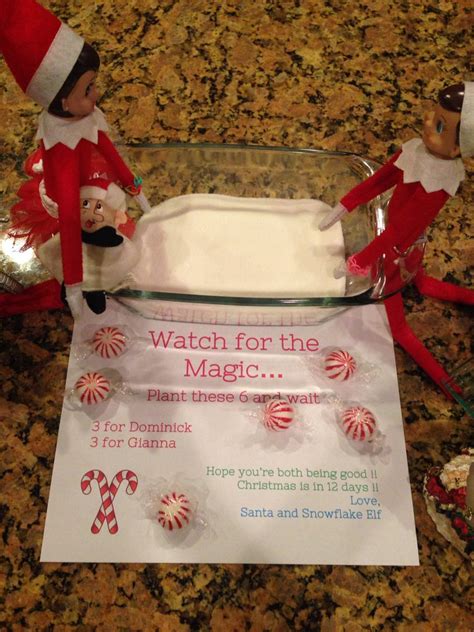 Elf On The Shelf Ideas Candy Canes Growing Elf On The Shelf Christmas Elf Xmas Elf