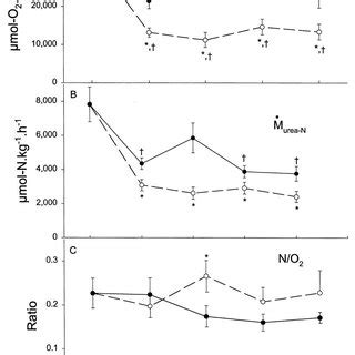 Routine Rates Of A Oxygen Consumption Mo 2 B Urea N Excretion