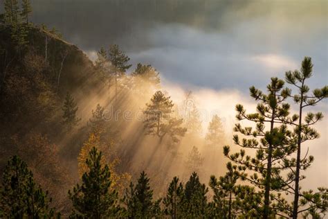 sun rays braking mist  clouds stock image image  rays sunbeams
