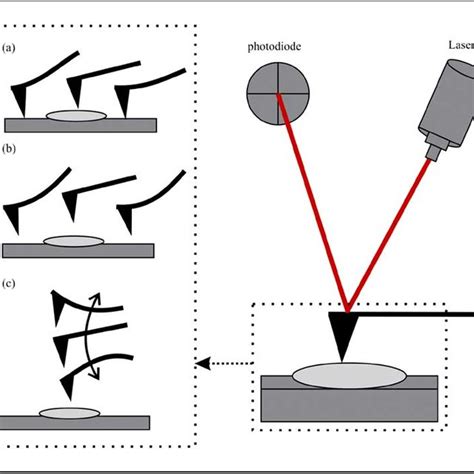 Common Particle Analysis Techniques Their Benefits And Limitations In