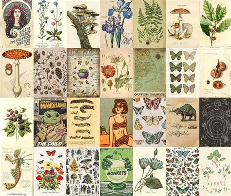 Vintage Botanical Posters Wall Collage Kit Digital Collage Etsy