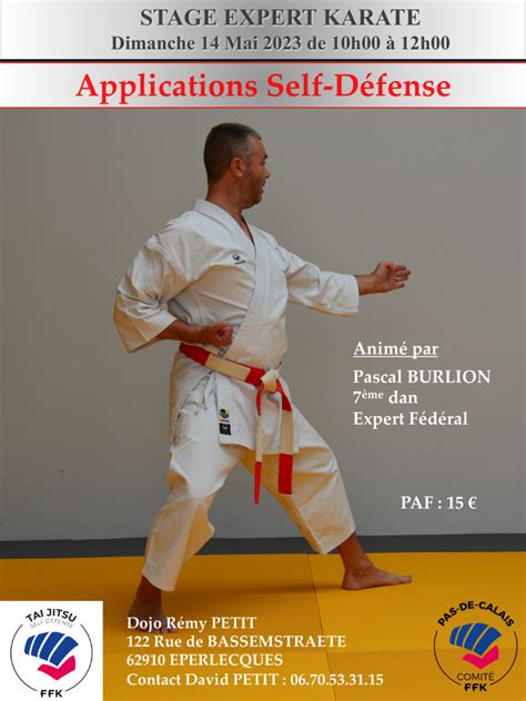 Stage Expert F D Ral Ta Jitsu Avec Pascal Burlion Le Mai