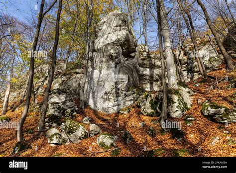 Europa Polen Schlesien Krakau Tschestochowa Hochland Polnisches