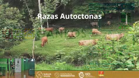 Inauguración De L Regad 2024 Conservación De La Diversidad Biológica Y