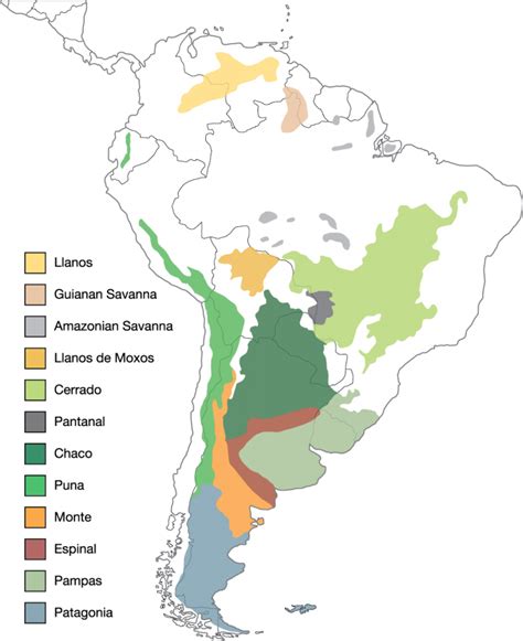 Grasslands Of The World Map - Maping Resources