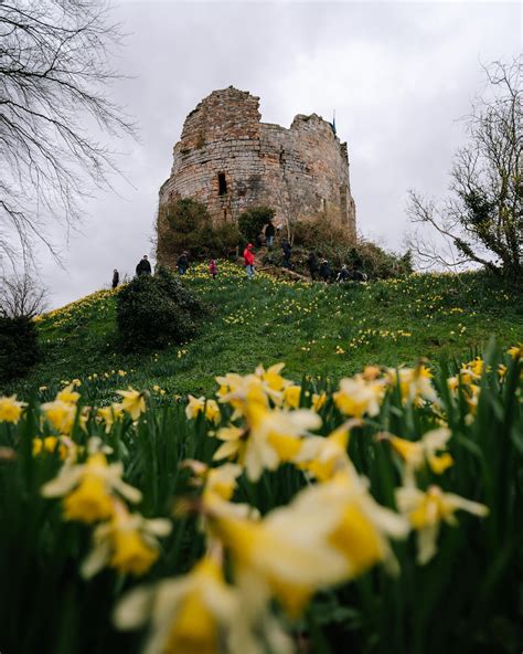 Hawarden Castle Open Day — Hawarden Estate Experience