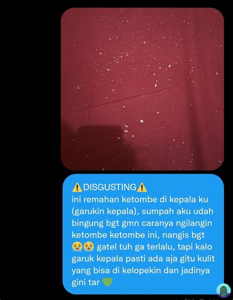 Tanyarl Dilarang On Twitter Tolong Dong Gmn Cara