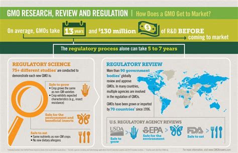 GMO Regulatory Process Infographic Marketing Gmo Facts Gmos