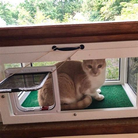 24 Inch Deluxe Kp Cat Window Patio Catio Solarium Large Deluxe Model Cat Window Catio Cats