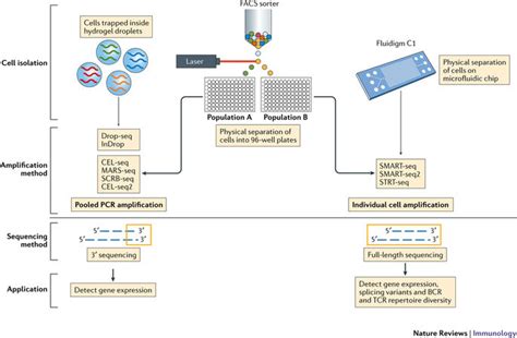 Top Techniques Single Cell Rna Sequencing Tufts Boston Insight