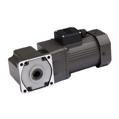 Hollow Shaft Gear Motor JW JB YN Zhejiang Dongzheng Motor Co Ltd