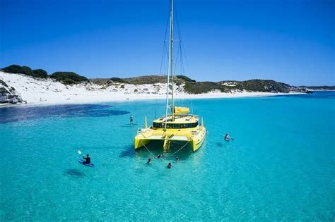 Rottnest Island tours and experiences | SeaLink Rottnest Island