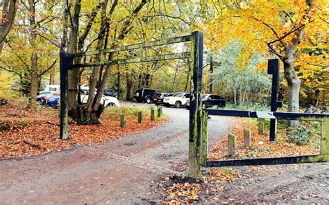 Exploring The Broxbourne Woods Sculpture Trail