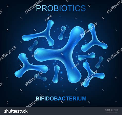 Probiotic Bacteria Good Microorganisms Concept Isolated Stock Vector