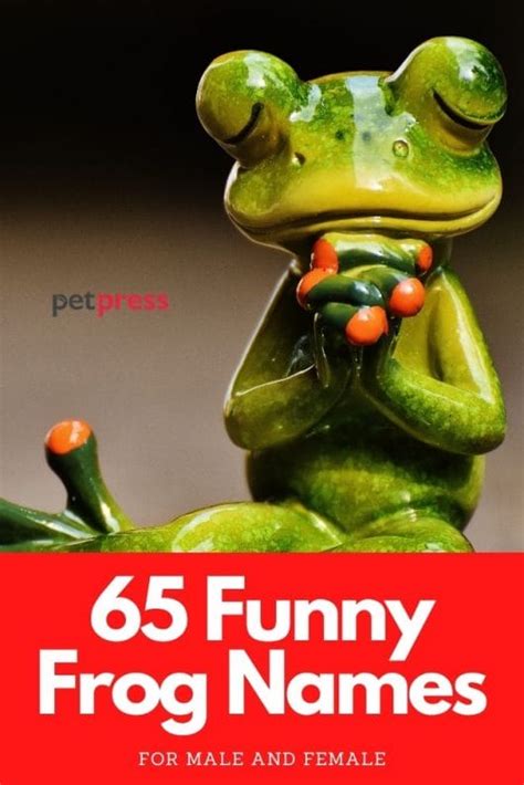 65 Funny Frog Names Frog Name Ideas That Are Hilarious