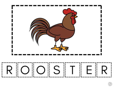 Rooster-Farm Animals Series | DTS