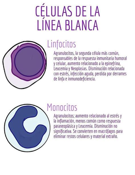 C Lulas De La Linea Blanca Fraii Udocz