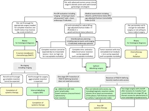 Figo Stage Iv Epithelial Ovarian Fallopian Tube And Peritoneal Cancer Revisited Gynecologic