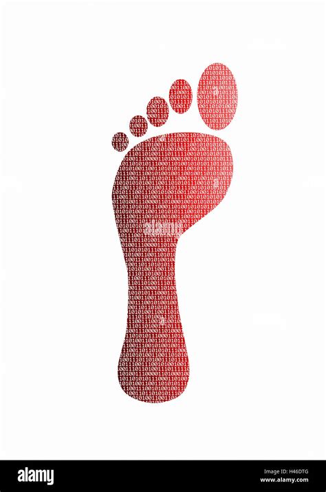 What Is Digital Footprint