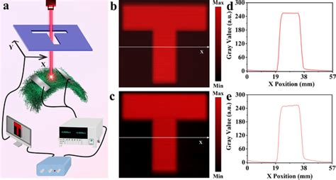 Single‐pixel Imaging Sensing Capability Of The Bi2s3 Nfm Photodetector