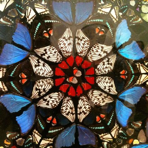 Damien Hirst Butterflies Butterfly Art Insect Art Damien Hirst