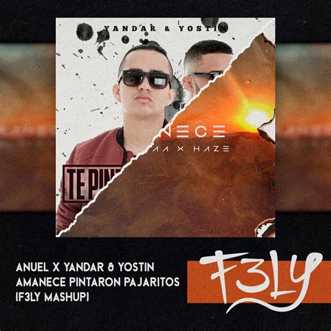 Anuel X Yandar Yostin Amanece Te Pintaron Pajaritos F Ly Mashup