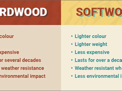 Hardwood vs Softwood by Sam Burgon on Dribbble