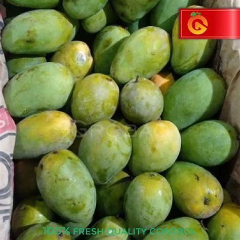 Jual Buah Mangga Harum Manis Fresh 1 Kg Isi 4 Buah Shopee Indonesia