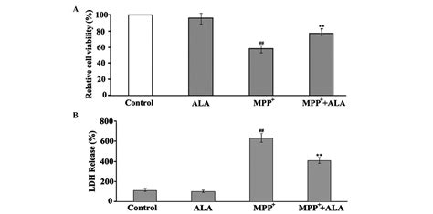 α lipoic acid exerts neuroprotective effects on neuronal cells by