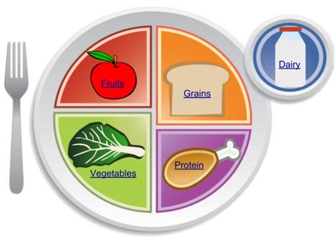 34 Using The Myplate Planner Nutrition 100 Nutritional