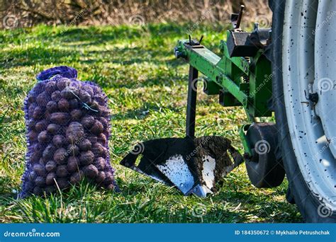 Trator Arado Para Plantio De Batatas No Campo Foto De Stock