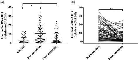 Circulating Exosomal Long Non Coding Rna H19 As A Potential Novel