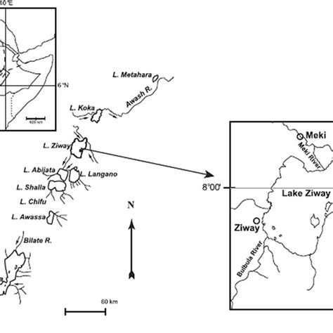 Map showing Lake Ziway (Adopted and modified from Deribe et al. [16 ...