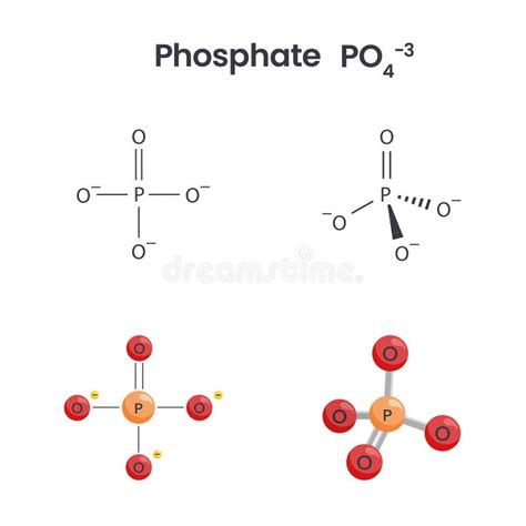 Phosphate Bonds Stock Illustrations – 81 Phosphate Bonds Stock ...