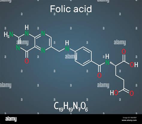 El Cido F Lico Folato Mol Cula Es Conocida Como La Vitamina B