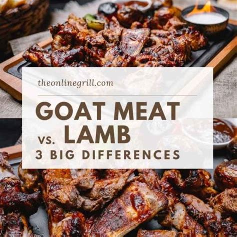 Best Lamb Cuts Meat Chops Explained Theonlinegrill