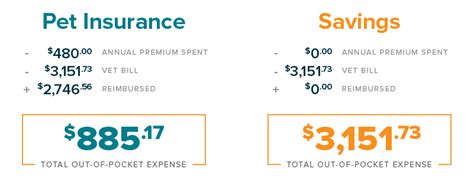 Pet Insurance Vs Savings Managing The Costs Of Vet Care