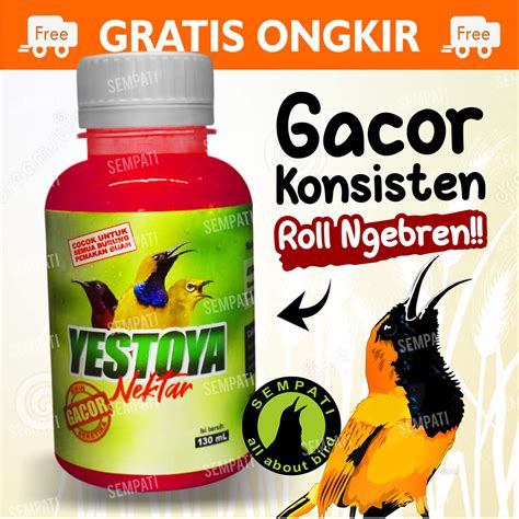 Jual Yestoya Nectar Nektar Pakan Makanan Minuman Burung Pemakan Buah