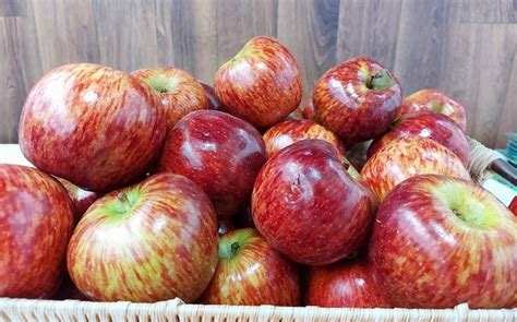 Producción de manzana supera expectativas a pesar de sequía con más de