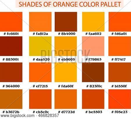 set orange color vector photo  trial bigstock