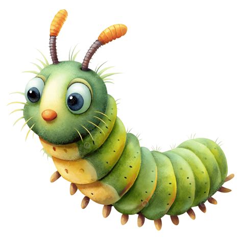 Linda Oruga Clipart Linda Oruga Png | PNGEgg