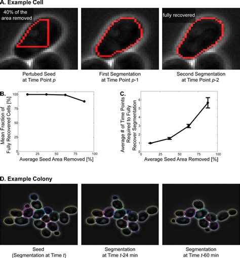 Robustness Of The Segmentation Algorithm Robustness To Errors In The