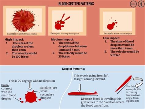 Splatter Blood For Blood Spatter Analysis Experiment How To Conduct