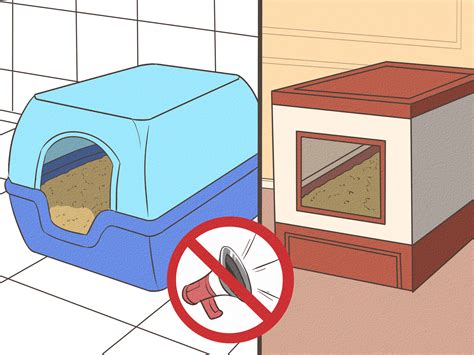 Wikihow Litter Box at Carmen Pink blog