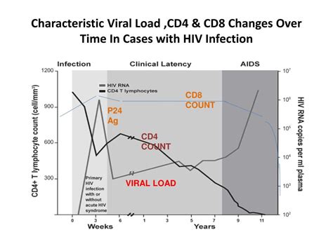 Ppt Basics Of Hiv Powerpoint Presentation Free Download Id 4770960