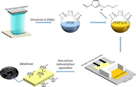 Schematic Diagram For The Preparation Process Of Pvdf G Il Membrane By Download Scientific