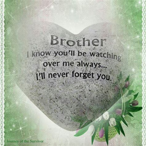 74 Best Missing My Brother Images On Pinterest Messages Brother